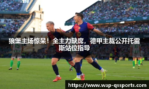 狼堡主场惊呆!全主力缺席,德甲主裁公开托雷斯站位指导